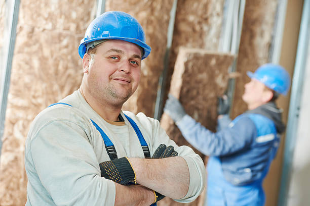 Best Cellulose Insulation in Redby, MN