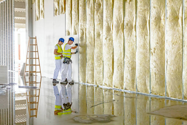 Best Geographic-Specific Insulation Services in Redby, MN